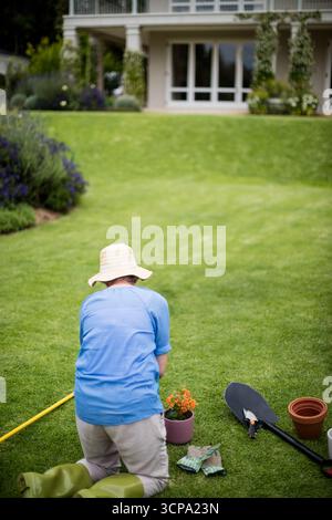 Senior female gardener with sunhat kneeling on front yard lawn repotting flowering plant with tools Stock Photo