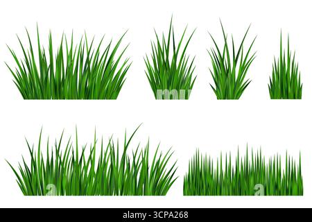 Green grass field. Meadow plant background. Border with realistic garden plants isolated on white background. Long leaves fresh foliage. Farm land Stock Vector