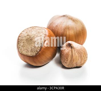 Fresh hazelnuts placed on a white surface ready for culinary use and snacking Stock Photo