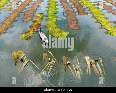 Floating Agriculture Using Raft Floating agriculture is a traditional agricultural practice of ...