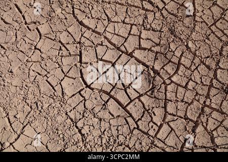 Background of parched, dried soil surface. Dry earth texture. Drought crisis in Brazil. Stock Photo