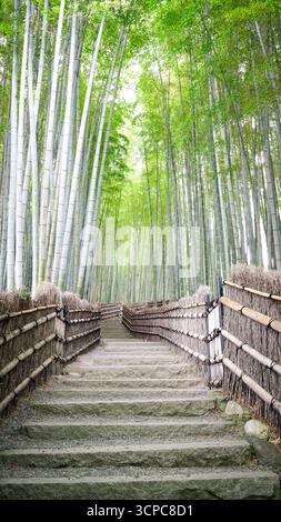 Vertical view of a empty road in the fabulous bamboo forest in Kyoto, Japan Stock Photo