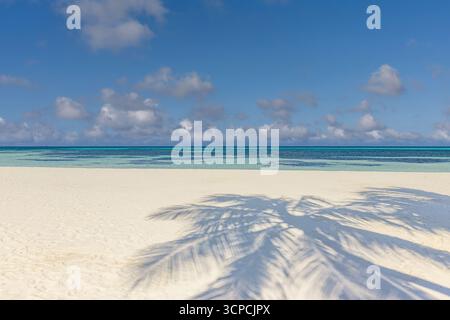 Relaxing summer beach landscape, beautiful palm tree leaves shadow on white sand, blue sea view horizon, tropical travel background, serene coast Stock Photo