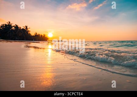 Tropical island sunset with closeup sea waves and palm trees in silhouette creating exotic scenic beach atmosphere under warm glowing evening sky Stock Photo