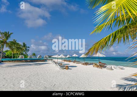 Luxury summer beach resort leisure chairs umbrellas white sand blue ocean water sunny sky horizon tropical island vacation scenic landscape background Stock Photo