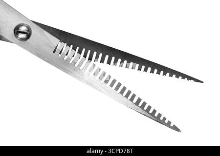 Steel barber thinning texturizing scissors closeup isolated over white Stock Photo