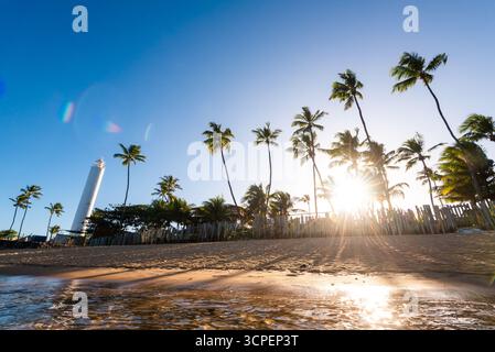 Sunset Behind Palm Trees at Praia do Forte Beach in Northeast of Brazil, Bahia State Stock Photo