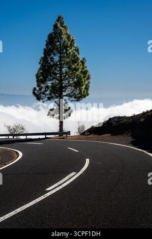 A single tree stands on the edge of a rugged cliff as a winding mountain road curves in front. White clouds drift beneath the cliff under a blue sky Stock Photo