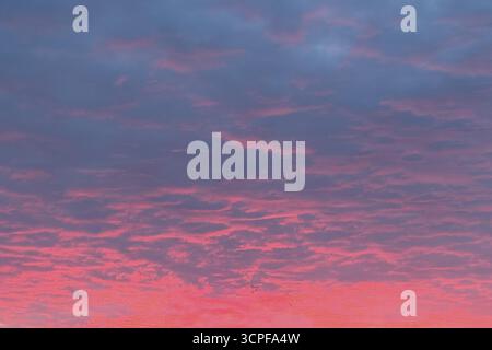 Above grey stratocumulus clouds Stratocumulus clouds Cluster layer clouds, below evening red in the evening sky, international Stock Photo