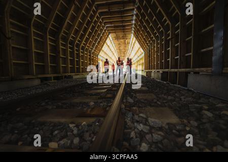 People in safety clothing standing in an illuminated wooden tunnel, construction of the Hermann Hesse railway, Calw, Black Forest, Germany Stock Photo