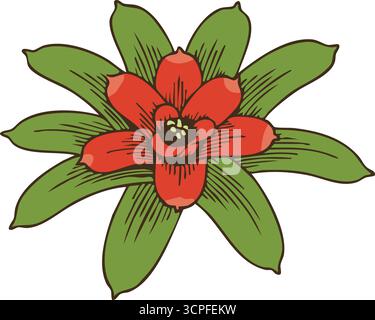 A compact rosette of thick green leaves with a bright red central bloom characteristic of bromeliads Stock Vector
