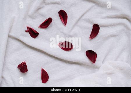 Burgundy petals scattered on linen fabric, top view. Floral minimal aesthetic Stock Photo