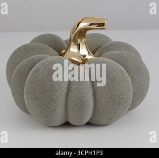 decorative pumpkins isolated nature background with clipping path Stock Photo