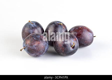 Fresh prunes isolated nature background with clipping path Stock Photo