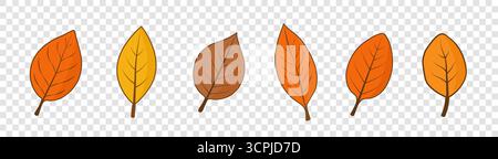 A set of six autumn leaves of different shapes on a transparent background. Stock Vector