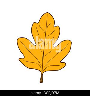 Autumn fallen leaf is orange with streaks on a white background. An isolated cartoon sheet for autumn designs. Stock Vector