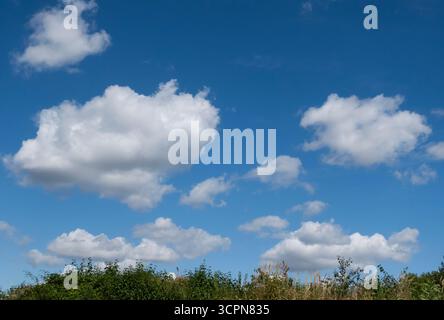 Blue sky with fluffy white clouds over green grassy landscape in summer Stock Photo