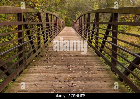 A footbridge on a trail in the woods during early autumn. Stock Photo