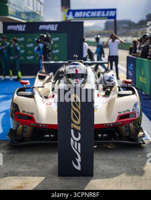 Wec Racing Helmets Special Helmet, WEC 100 Race, 10 BARRICHELLO Eduardo (bra), McINTOSH ...
