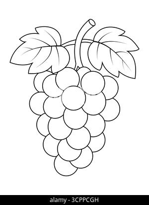 Grapes Coloring Page with Colored Example Illustration Stock Vector