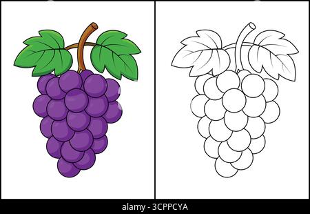 Grapes Coloring Page with Colored Example Illustration Stock Vector