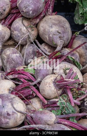 Close-up of freshly pulled or picked beetroots on a farmers market stall in Greece. Beetroot root vegetables fresh from the ground. Stock Photo