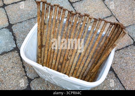 Rust coated old long nail spikes removed from damp ground in white plastic bucket on beige, tan paving stone background. Stock Photo