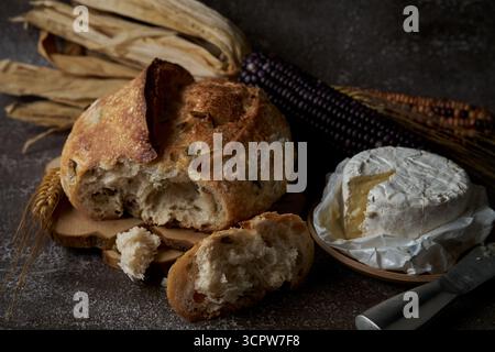 Rustic still life with crusty artisan bread and a soft‑ripened brie cheese wheel, wheat stalks and heirloom corn husks on a dark textured surface Stock Photo