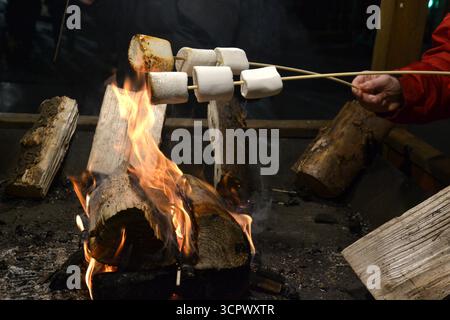Marshmallows on a fire at Cardiff at Christmas, South Wales, UK Stock Photo