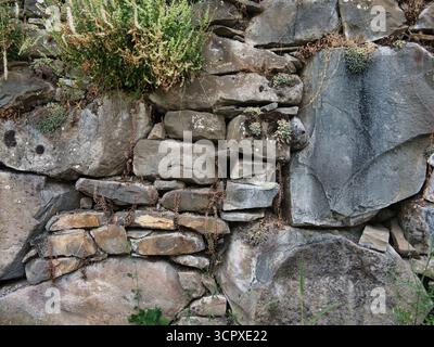 Rough Cut Random Pattern Stone Wall Texture - Close-up of a weathered, rustic stone wall made of rough-cut rectangular blocks in varying shades of tan Stock Photo