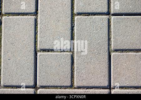 Close-up of rectangular and square gray paving stones laid in a pattern, with thin moss or weeds visible in the joints. Stock Photo