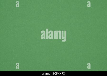 A solid, uniform green background with slight texture. The color is a muted, natural green. Stock Photo