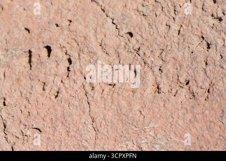 Close-up of a textured, porous surface painted a muted reddish-brown color. Cracks and small holes are visible throughout. Stock Photo