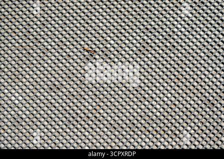 A grey, geometric patterned mat with regularly spaced openings revealing the underlying light-colored surface, filling the entire frame. Stock Photo