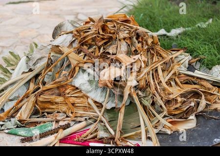 A pile of dried banana leaves and plant debris rests on a dark tarp, with green grass and pale stone paving in the background. Stock Photo
