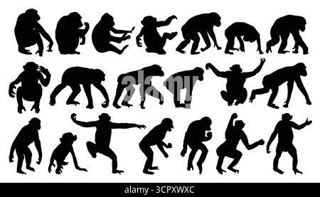 Set silhouettes of wild monkeys. Stock Vector