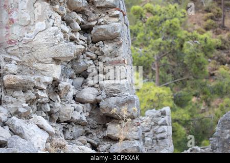 Close-up of an old, partially ruined stone wall with exposed stones and crumbling plaster. Trees are visible in the blurred background. Stock Photo