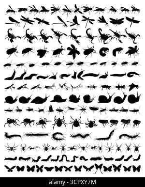 The big set of insects silhouettes. Stock Vector