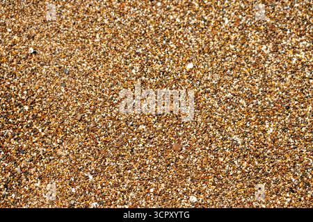 A high-angle, close-up image showing small pebbles on a beach, densely packed together and filling the frame with warm, earthy tones. Stock Photo