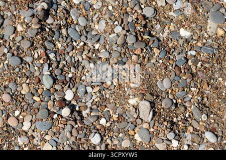 Close-up, overhead shot of various sized, smooth pebbles intermixed with coarse sand, in varying shades of gray, brown, and white. Stock Photo