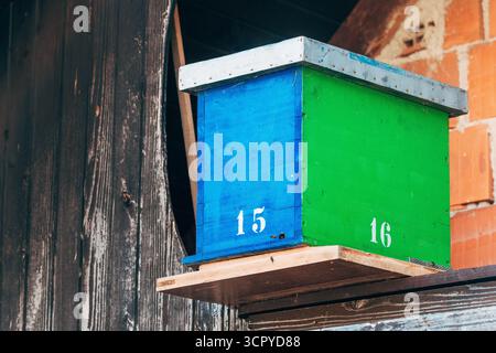Wooden beehive crate painted in blue and green colors outdoors, used for beekeeping on a farm. Selective focus. Stock Photo