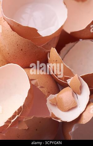 pile of cracked brown egg shells in close-up macro view, organic waste, recycling or cooking ingredient, soft focus in full frame Stock Photo