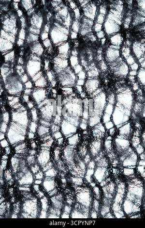 The fabric of black fleece, a synthetic knit with a soft, fluffy texture macro Stock Photo