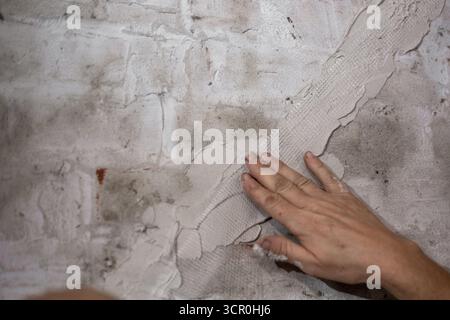 Close-up of worker smoothing mesh tape on freshly plastered brick wall to repair cracks. Stock Photo