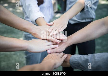 Top view of group of people team showing unity with putting their hands together in circle. Diversity hands join together for support and teamwork. Co Stock Photo