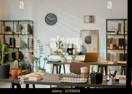 Modern Office Workspace Featuring Laptops and Indoor Plants in Daylight Stock Photo