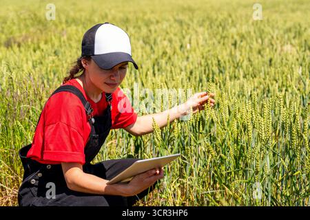 Female agronomist with digital tablet checking crop growth outdoors Stock Photo