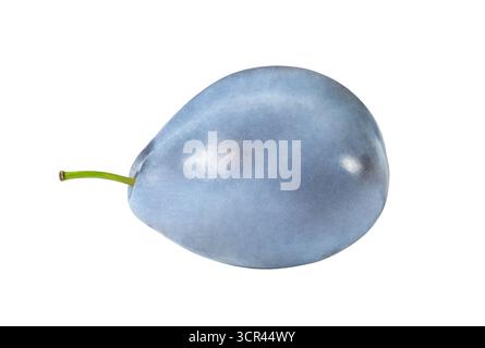 plum one whole blue, isolated on white background with clipping path Stock Photo