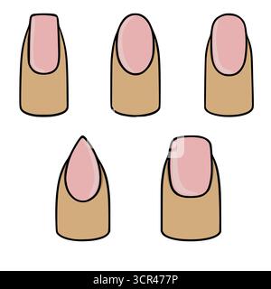 Diverse nail shape vector illustrations showcasing different manicure styles with soft pink polish and natural skin tones. Stock Vector