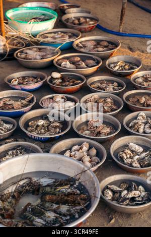 A variety of shellfish displayed in bowls on sandy ground at an outdoor market setting. Mui Ne, Vietnam Stock Photo